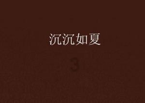 完美的收藏品