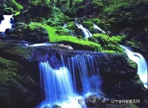 2024年属牛破太岁怎么化解