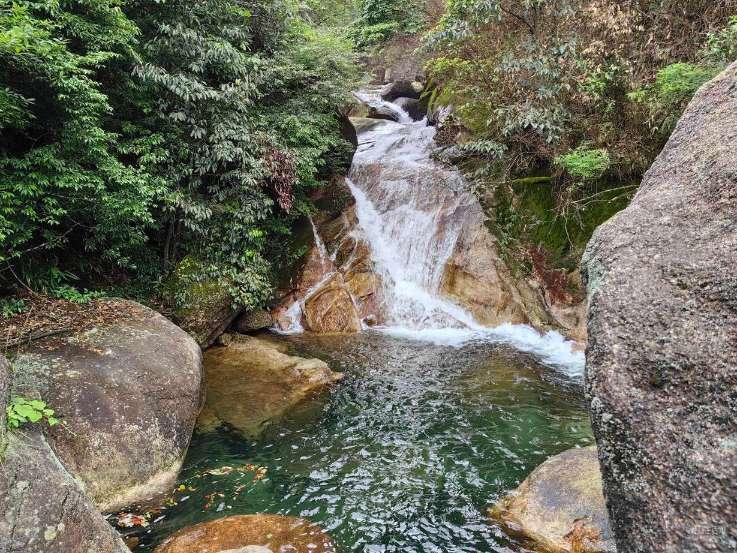 寻找迷路的松鼠
