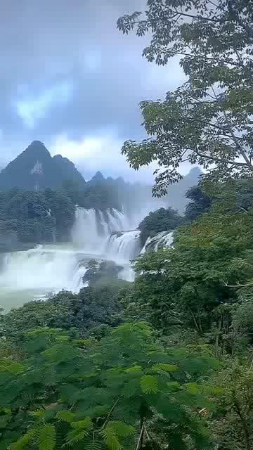 逃离危险禁地
