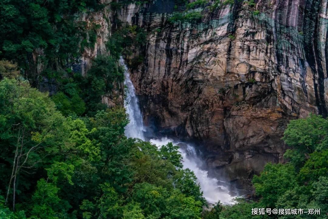 做红烧肉之前，到底要不要焯水游戏画面